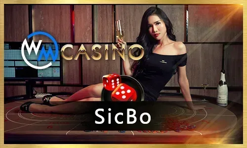 Roulette Table Game